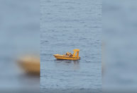 Vídeo: pai pula no mar para salvar filha que caiu de cruzeiro da Disney