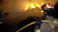 Em meio a onda de calor, incêndio deixa ao menos dois mortos na Espanha