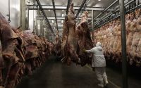 Novas vendas de carne do Brasil aos EUA estão sob análise, diz entidade