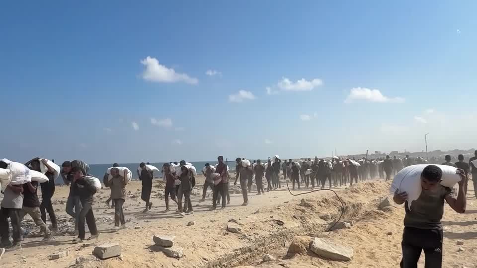 Palestinos recolhem farinha no norte de Gaza , onde médicos dizem que fogo israelense matou dezenas de pessoas que buscavam ajuda