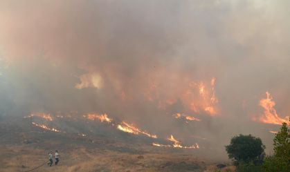 Bombeiros combatem incêndios florestais na Turquia, Grécia e Albânia