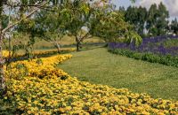 Inverno com recorde de frio se despede para chegada da primavera