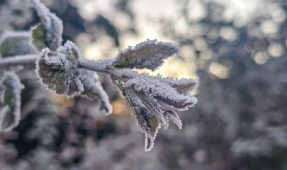 Onda de frio: mais de 30 cidades gaúchas registram temperaturas negativas
