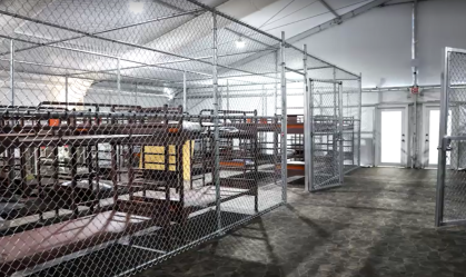 "Alcatraz dos Jacarés": Primeiro grupo de imigrantes chega à nova prisão