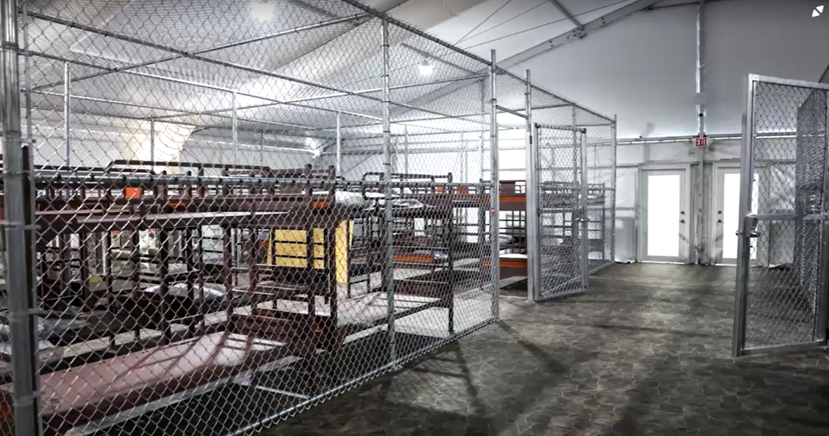 Alcatraz dos Jacarés