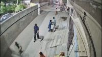 Vídeo: Leão pula muro e persegue pessoas no Paquistão