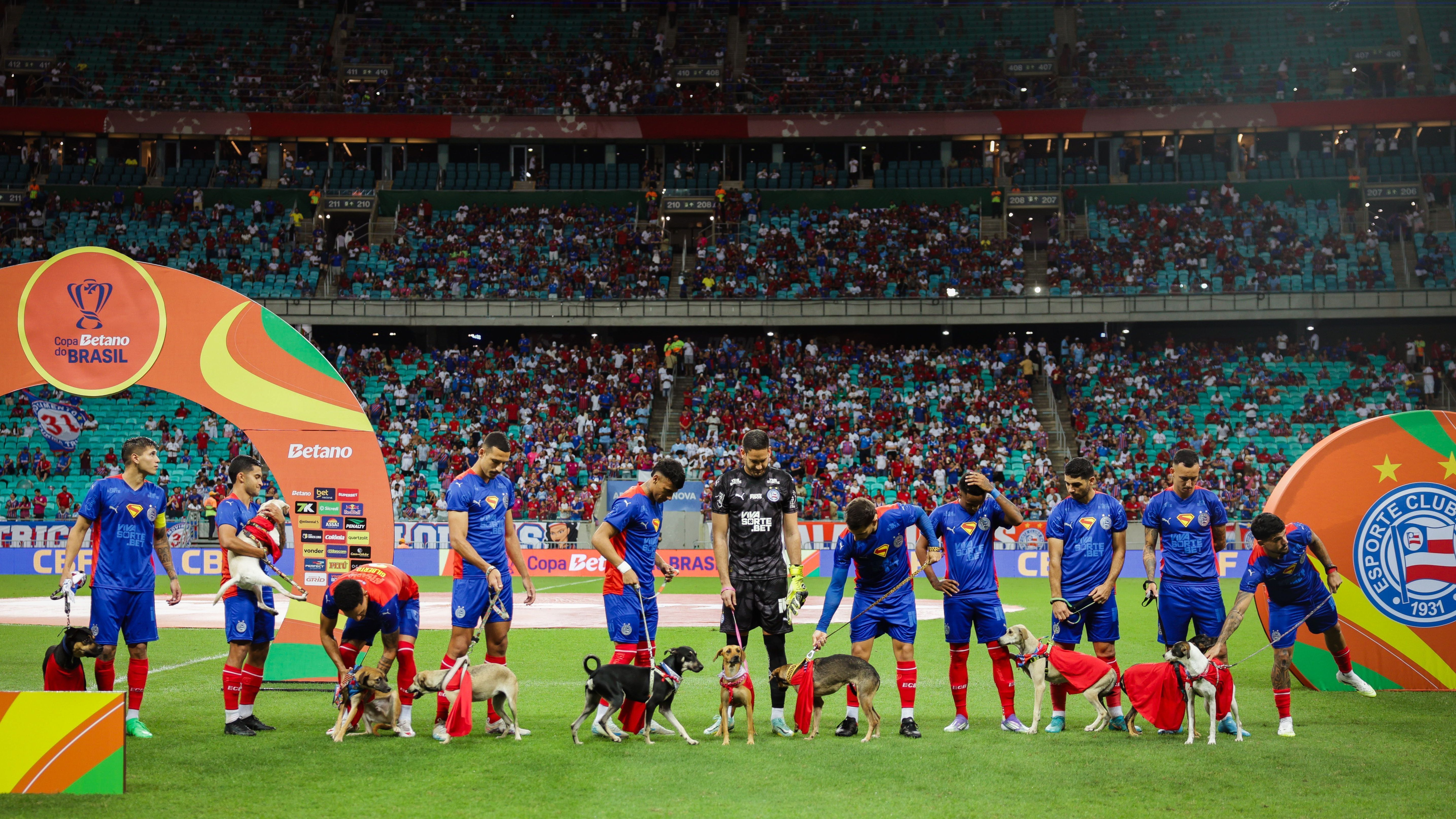 Bahia entrou em campo com cães