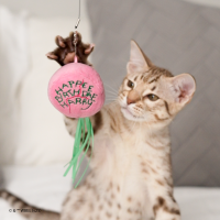 Pets ganham brinquedos interativos inspirados em "Harry Potter"