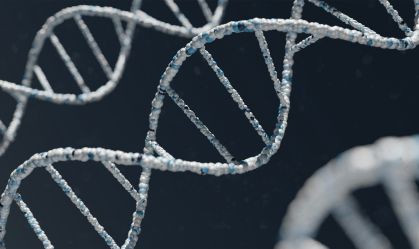 DNA é o tema mais cobrado na prova de Biologia da Fuvest
