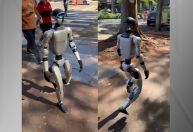 Robô humano passeia por parque em Maringá, veja vídeo