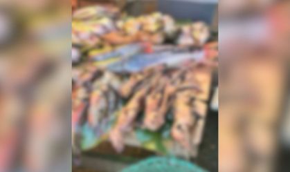 MP vai investigar venda de gambás em feira no interior do Pará