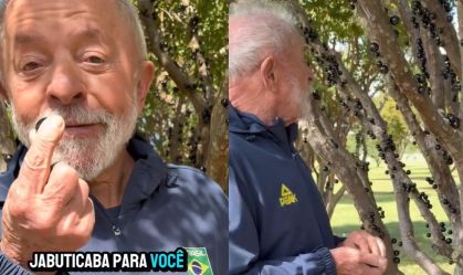 "Vou levar jabuticaba para você, Trump", diz Lula ao citar briga tarifária