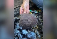 Chocolates com larvas e insetos são encontrados em loja de shopping no RS