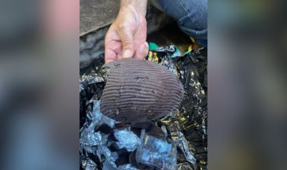 Chocolates com larvas e insetos são encontrados em loja de shopping no RS