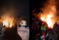 Incêndio de grandes proporções atinge área de mata na Zona Oeste do Rio