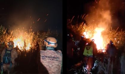 Incêndio de grandes proporções atinge área de mata na Zona Oeste do Rio