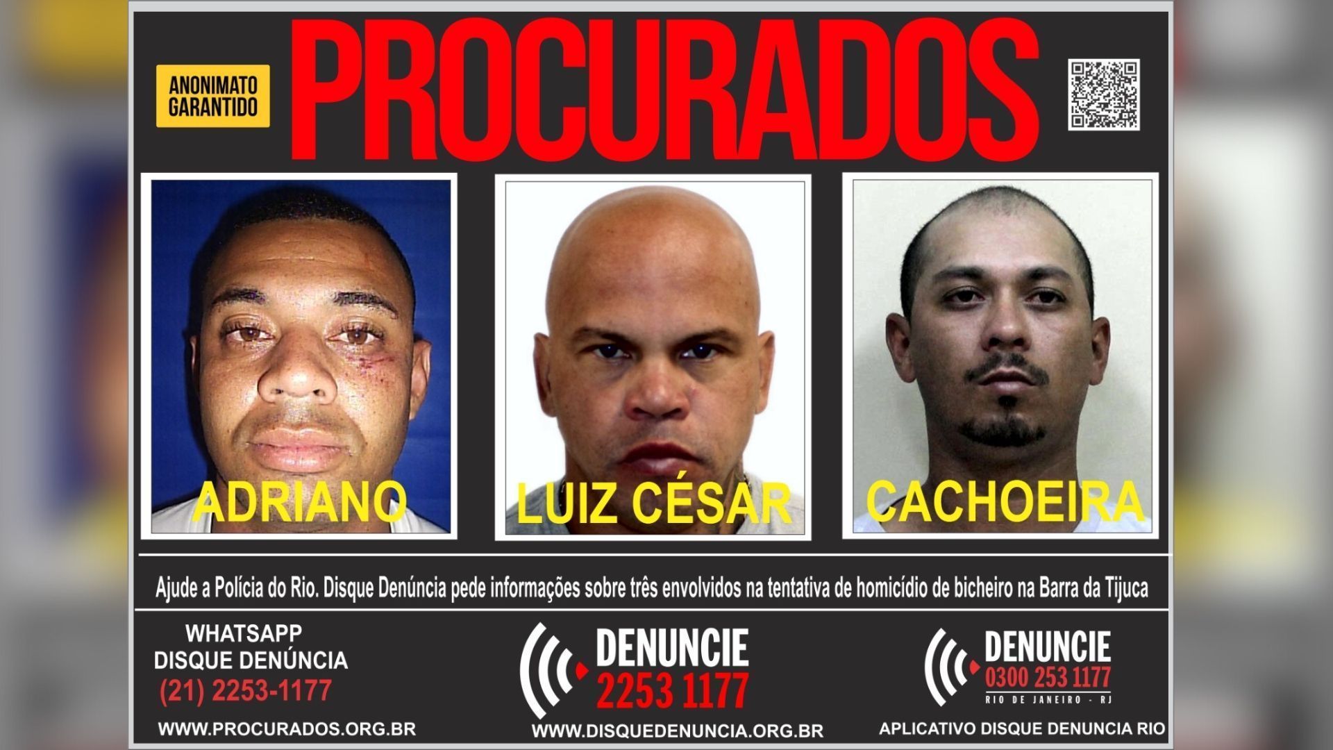 Procurados