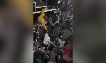MP investiga queda de arquibancada em show sertanejo no interior de SP