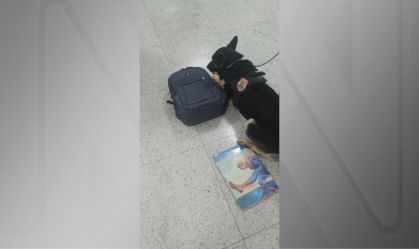 Imagem de destaque do post: Sueco com cocaína em livro infantil é preso no Aeroporto de Guarulhos