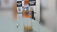 Dois homens morrem ao beberem veneno de lagarta no interior do Ceará
