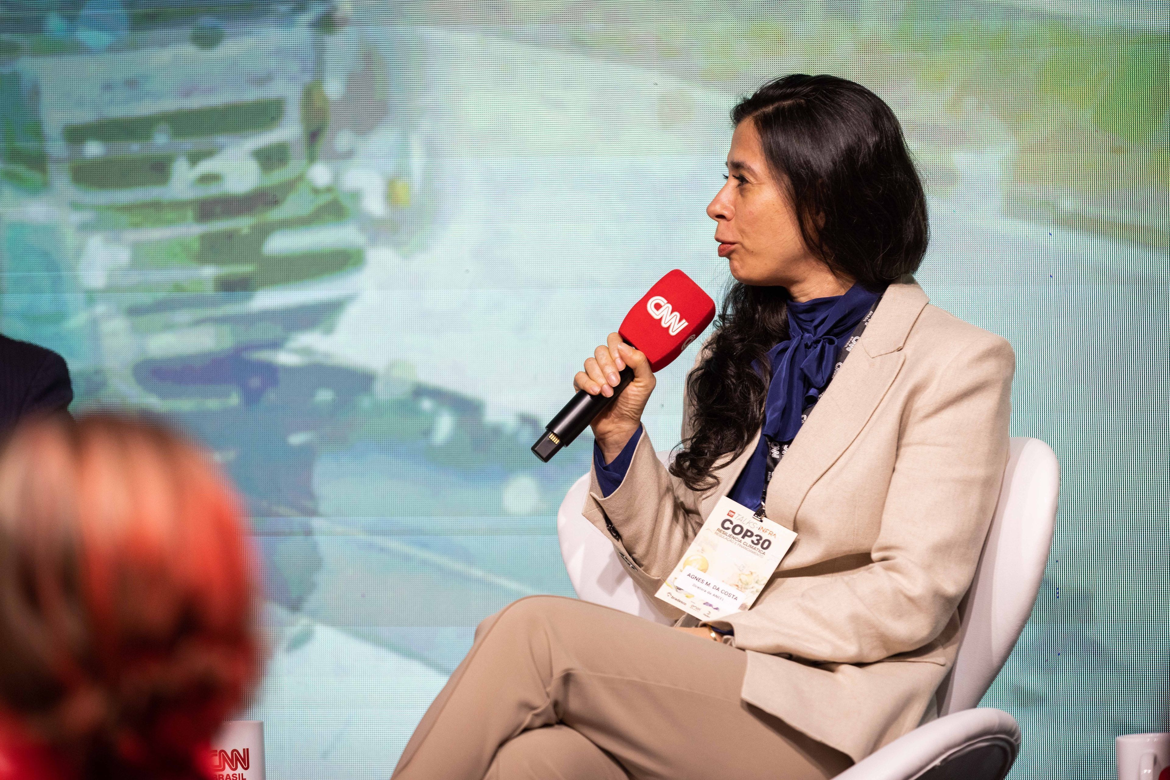 Diretora da Aneel (Agência Nacional de Energia Elétrica), Agnes da Costa
