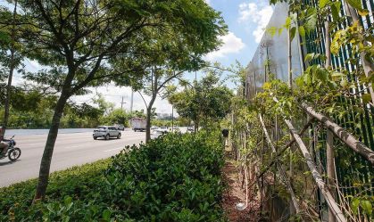 USP começa a derrubar muro da Raia Olímpica na Marginal Pinheiros