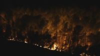 Incêndio florestal na França obriga moradores a deixarem as casas
