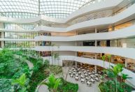 Faculdade Einstein oferece 660 vagas para vestibular unificado 2026