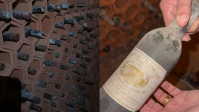 Casal compra imóvel e encontra adega “secreta” com vinhos antigos; veja