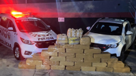 Apreensão de drogas aumenta 37% no semestre em São Paulo