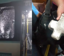 Guarda Municipal prende mulher após atirar pedra em ônibus de Fortaleza