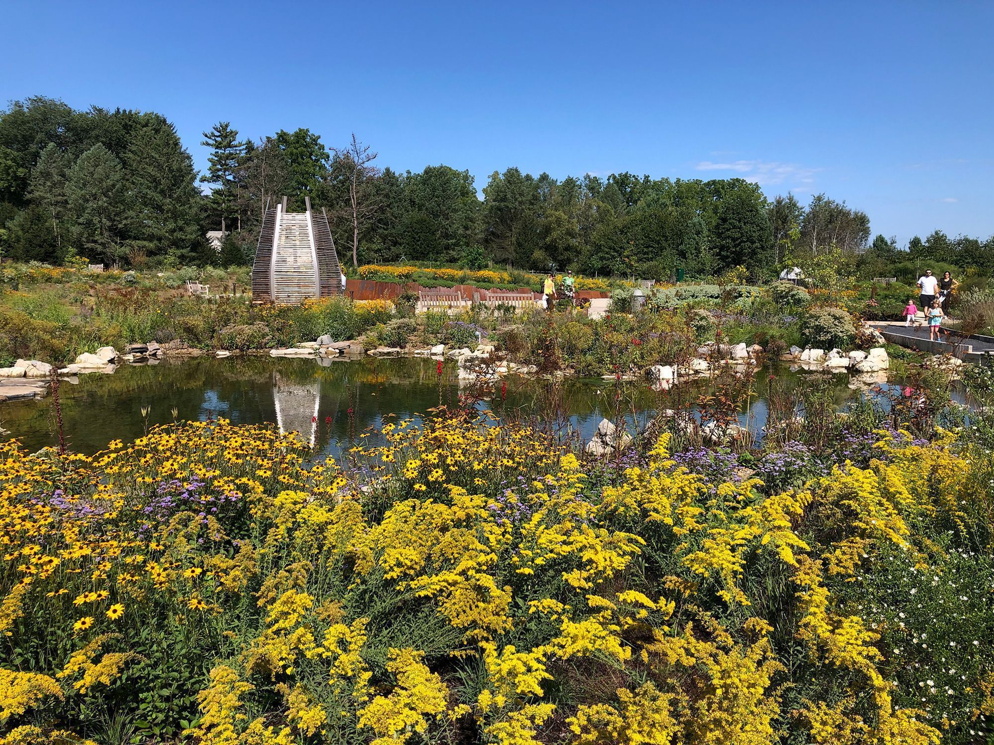 O Jardim de Polinizadores e Pássaros no Arboreto da Penn-State • Harland Patch via CNN Newsource
