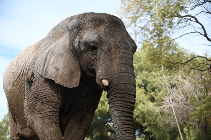 • Governo de Mendoza