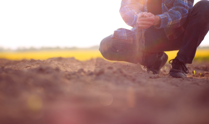 COP30: Agricultura regenerativa pode gerar crédito de carbono