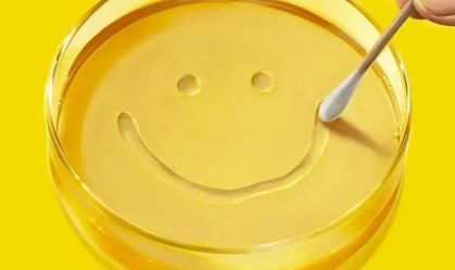 "Pluribus", nova série do criador de "Breaking Bad", ganha data de estreia