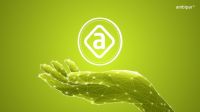 Ambipar lança tokens de carbono em parceria com a B3 Digitas