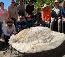 Fóssil raro de tartaruga-gigante do Mioceno é encontrado no Acre