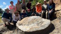 Fóssil raro de tartaruga-gigante do Mioceno é encontrado no Acre