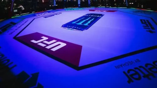 Octógono do UFC voltará ao Brasil neste ano