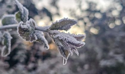 SC amanhece com 27 cidades abaixo de zero; mínima foi de -5,9°C