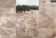 Cheia no Rio Guadapule, no Texas, deixa 20 crianças desaparecidas