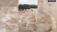 Cheia no Rio Guadapule, no Texas, deixa 20 crianças desaparecidas