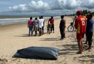 Turistas de SP morrem afogados em praia turística da Bahia