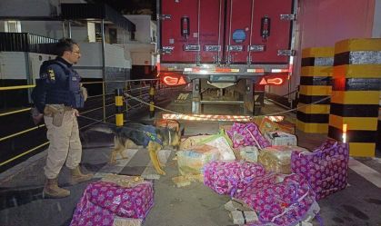 Homem é preso após transportar 400 kg de maconha junto a carga de carne