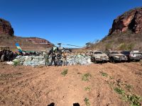 Vídeo: plantação de 130 mil pés de maconha é encontrada no Piauí