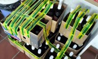 "Cachaça misteriosa": 1300 litros são apreendidos pelo governo no Paraná