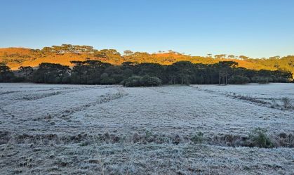 Cidades do Sul do país amanhecem com geada e temperaturas negativas
