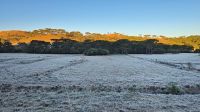 Cidades do Sul do país amanhecem com geada e temperaturas negativas