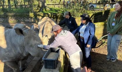 Zoológico reabre após ficar 2 meses fechado por foco de gripe aviária no RS