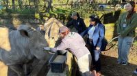 Zoológico reabre após ficar 2 meses fechado por foco de gripe aviária no RS
